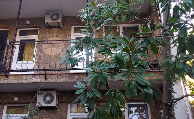 Гостевой дом Рыжий кот