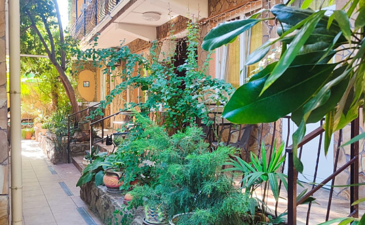 Гостевой дом Рыжий кот