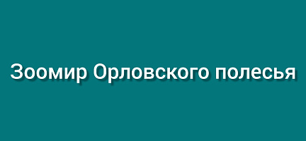 Зоомир Орловского полесья