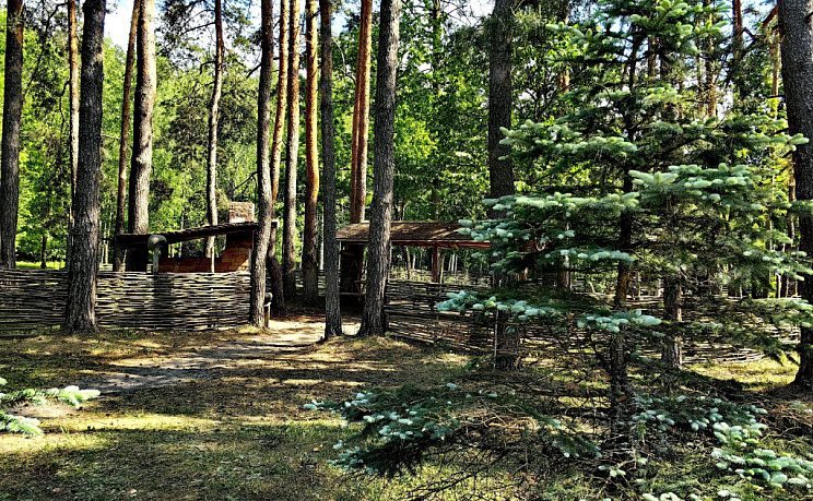 Партизанская Поляна