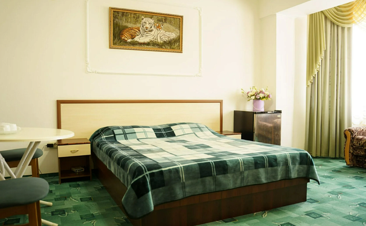 Улучшенный 1-комнатный номер на 3 этаже