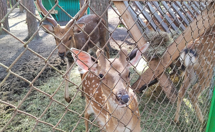 Зоомир Орловского полесья - Изображение 0