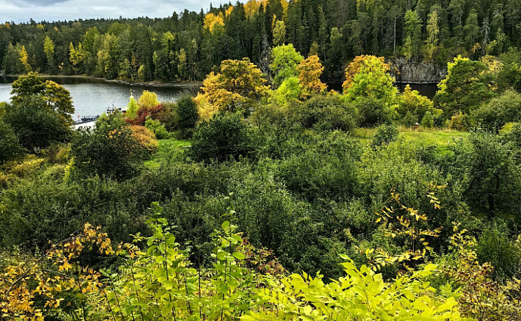 Карелия
