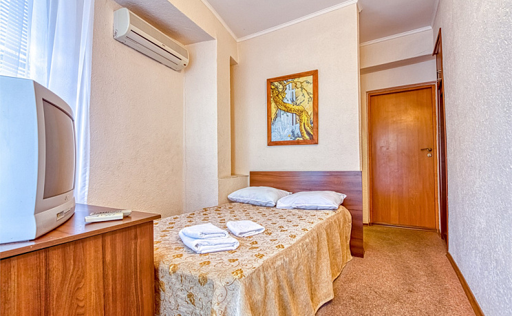 1-местный стандарт