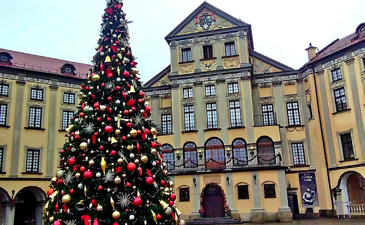 Несвижский замок