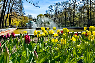 Майские праздники в Петербурге