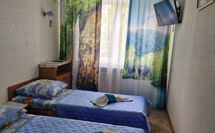 2-местный эконом