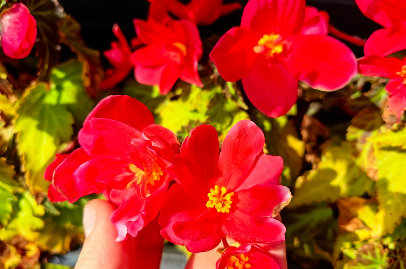 Туры на майские праздники из Брянска 2026